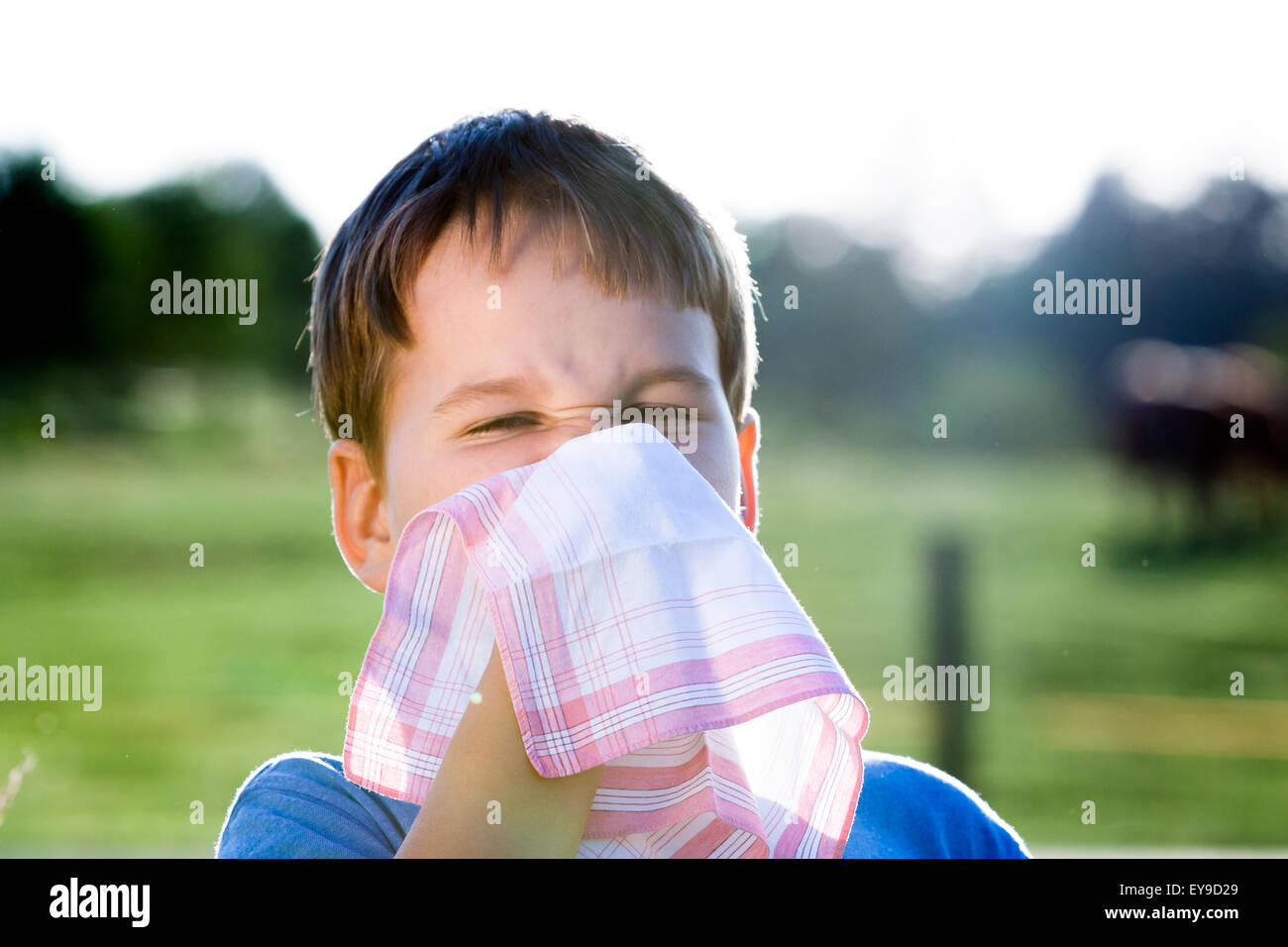 Kind mit einer Allergie gegen Pollen, während Sie Ihre Nase mit einem  weißen Taschentuch, in der Natur schneuzen Stockfotografie - Alamy