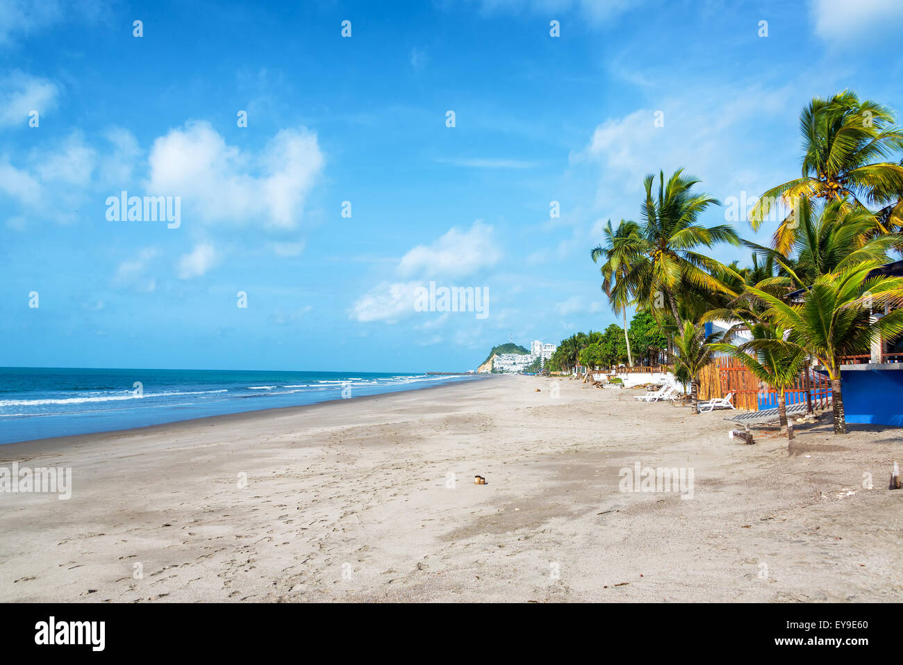 Langen Sandstrand gesäumt von Palmen in gleichen, Ecuador Stockfoto