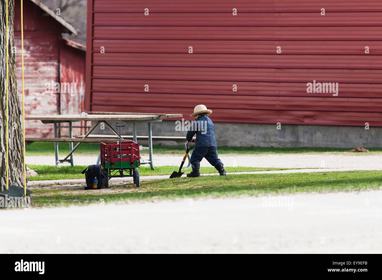 Young Amish Boy Stockfotos und bilder Kaufen Alamy