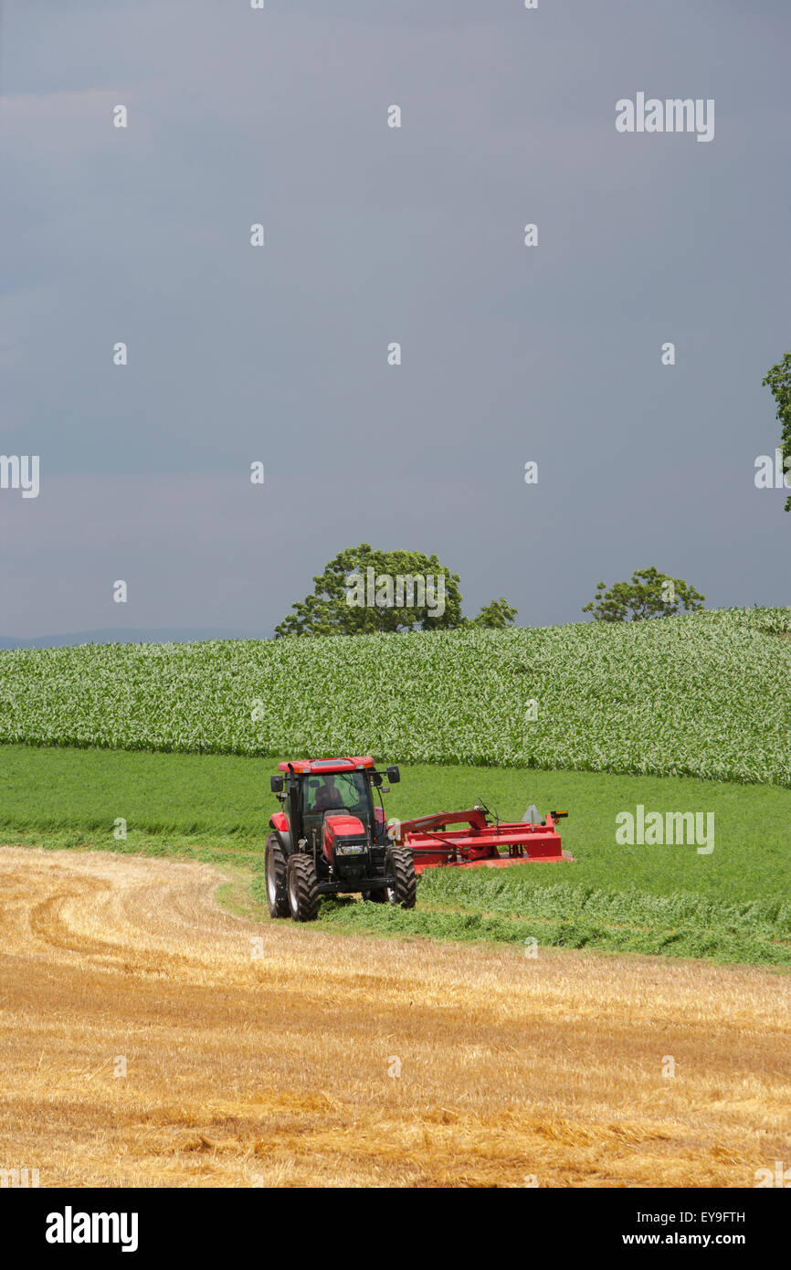 Case IH Traktor mit DC132 Scheibenmäher schneiden Luzerne; Strasburg, Pennsylvania, Vereinigte Staaten von Amerika Stockfoto