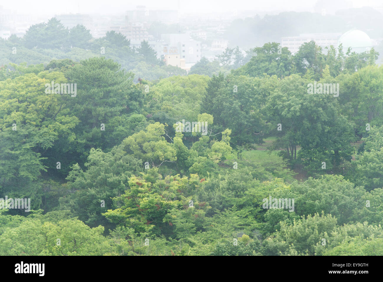 Hamamatsu Schloss, Schlosspark Hamamatsu, Stadt Hamamatsu, Präfektur Shizuoka, Japan Stockfoto