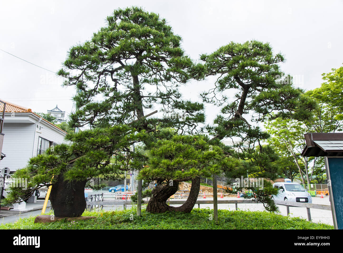 Hamamatsu Schlosspark, Stadt Hamamatsu, Shizuoka Präfektur, Japan Stockfoto