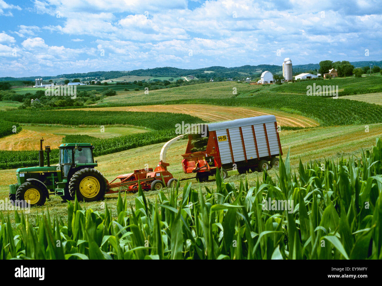 Landwirtschaft Schneiden Und Schwadern Luzerne Neben Mais Kontur Streifen Landwirtschaft Wisconsin Usa Stockfotografie Alamy