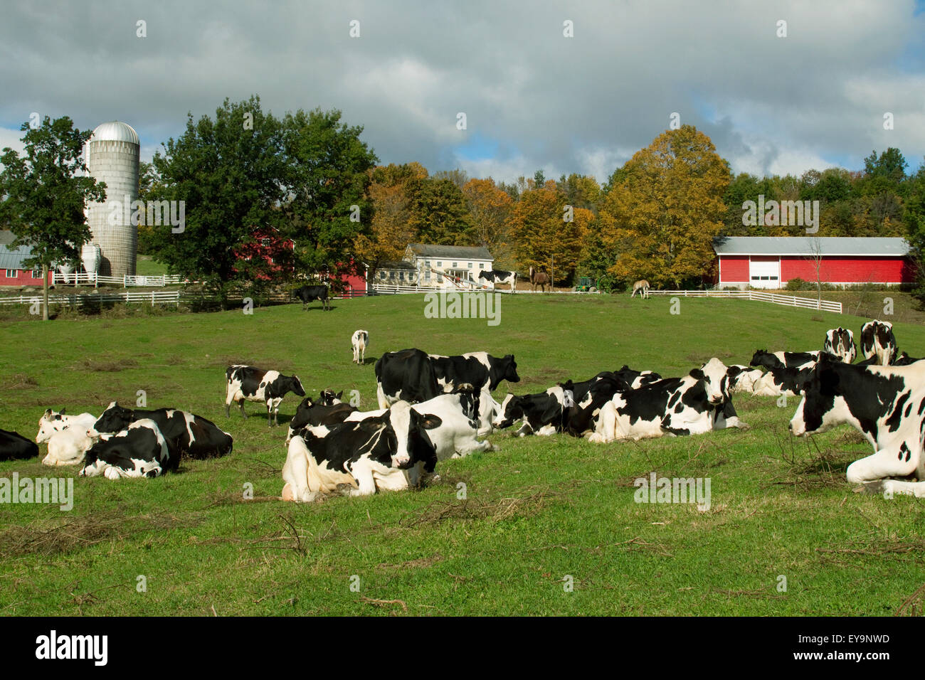 Lynn, Stein, Ag, Landwirtschaft, landwirtschaftliche, Country Stockfoto