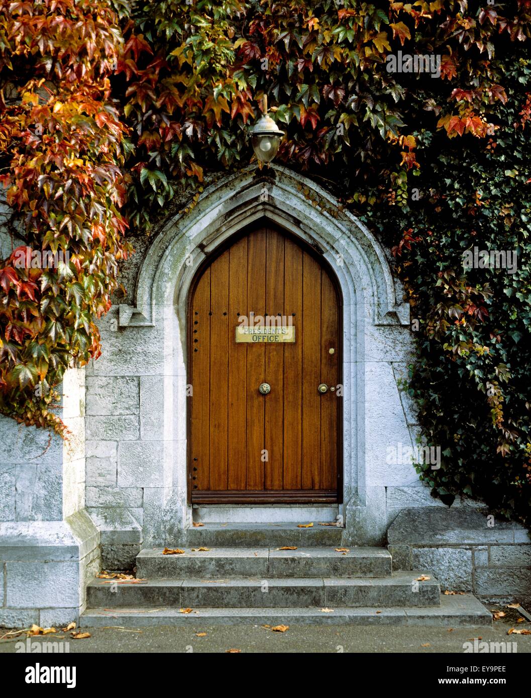 Gotische Türe, Viereck, University College Cork (Ucc), Cork, Irland Stockfoto