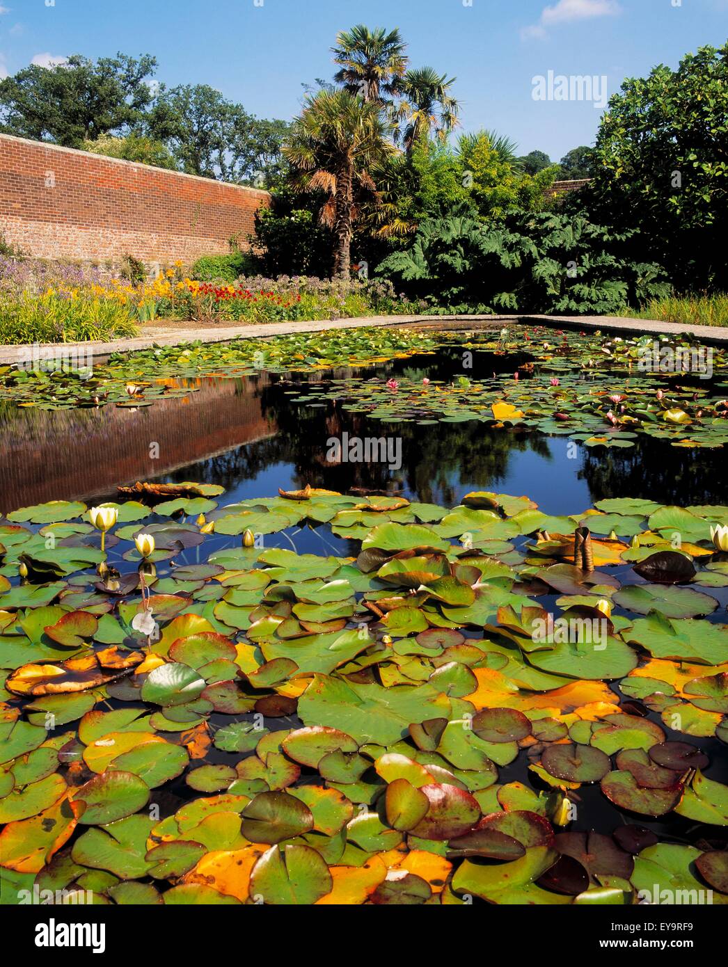Mount Congreve Gardens, Co Waterford, Irland; Seerosenteich im ummauerten Garten Stockfoto