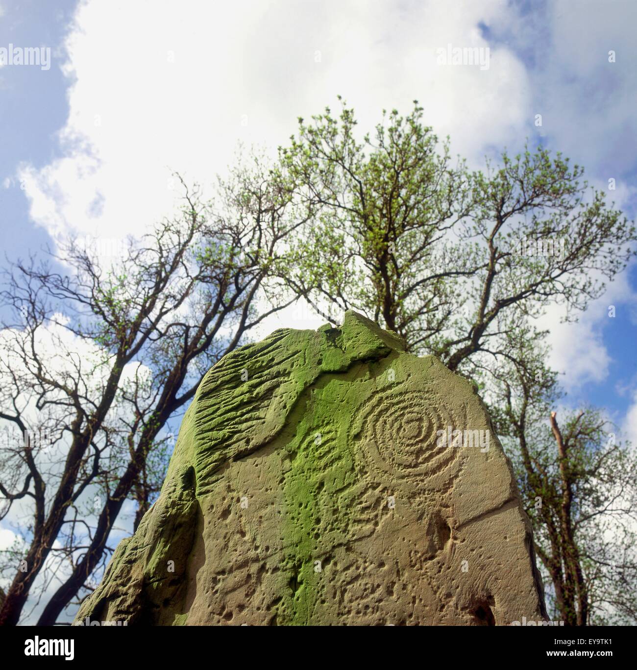 Carven auf Standing Stone, Newgrange, Co Meath, Irland Stockfoto