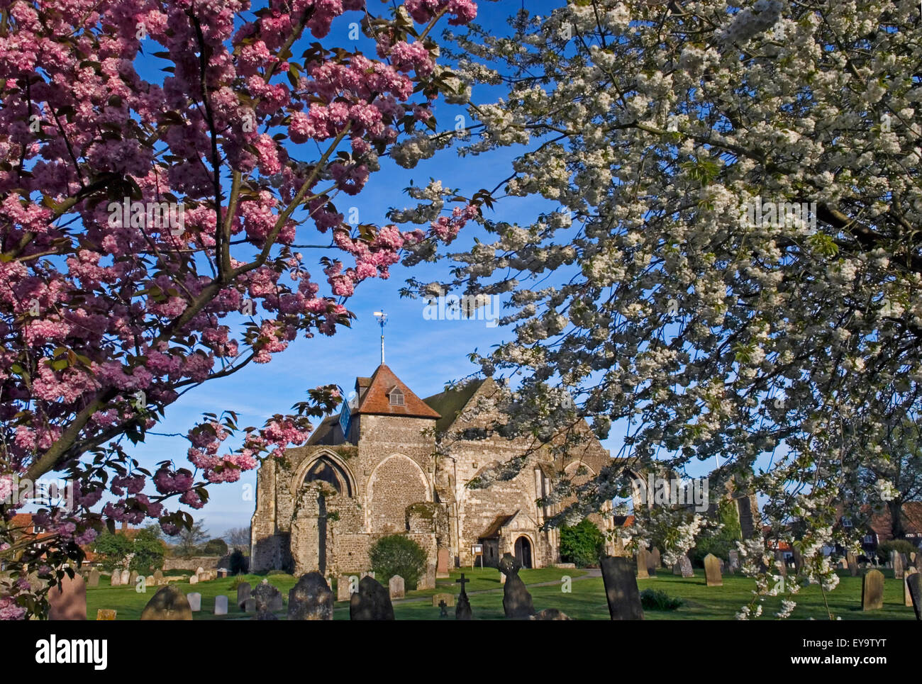 Blühenden Bäumen auf St. Thomas die Märtyrer-Kirche Stockfoto