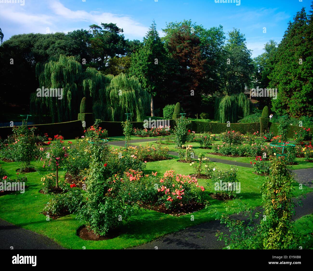 Irish National Botanic Gardens, Dublin, Co. Dublin, Irland; Rosengarten Stockfoto