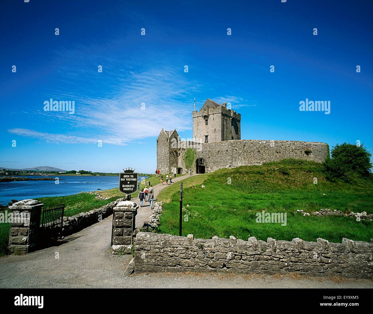 Dunguaire Castle, Co. Galway, Irland; 16. Jahrhundert Wohnturm an der Galway Bay Stockfoto