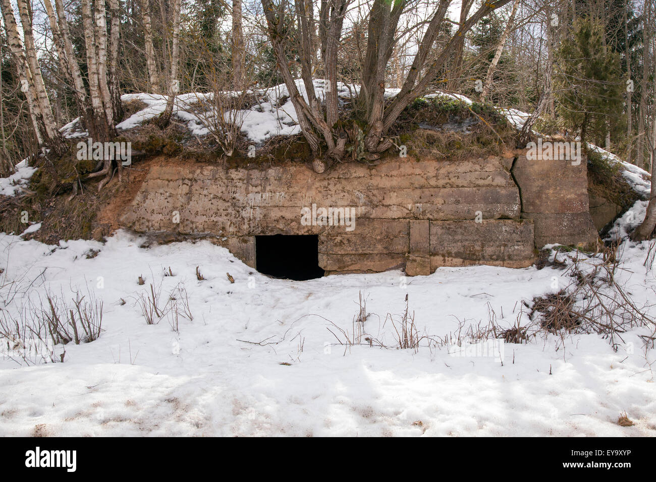 Bunker Krieg winter Stockfoto