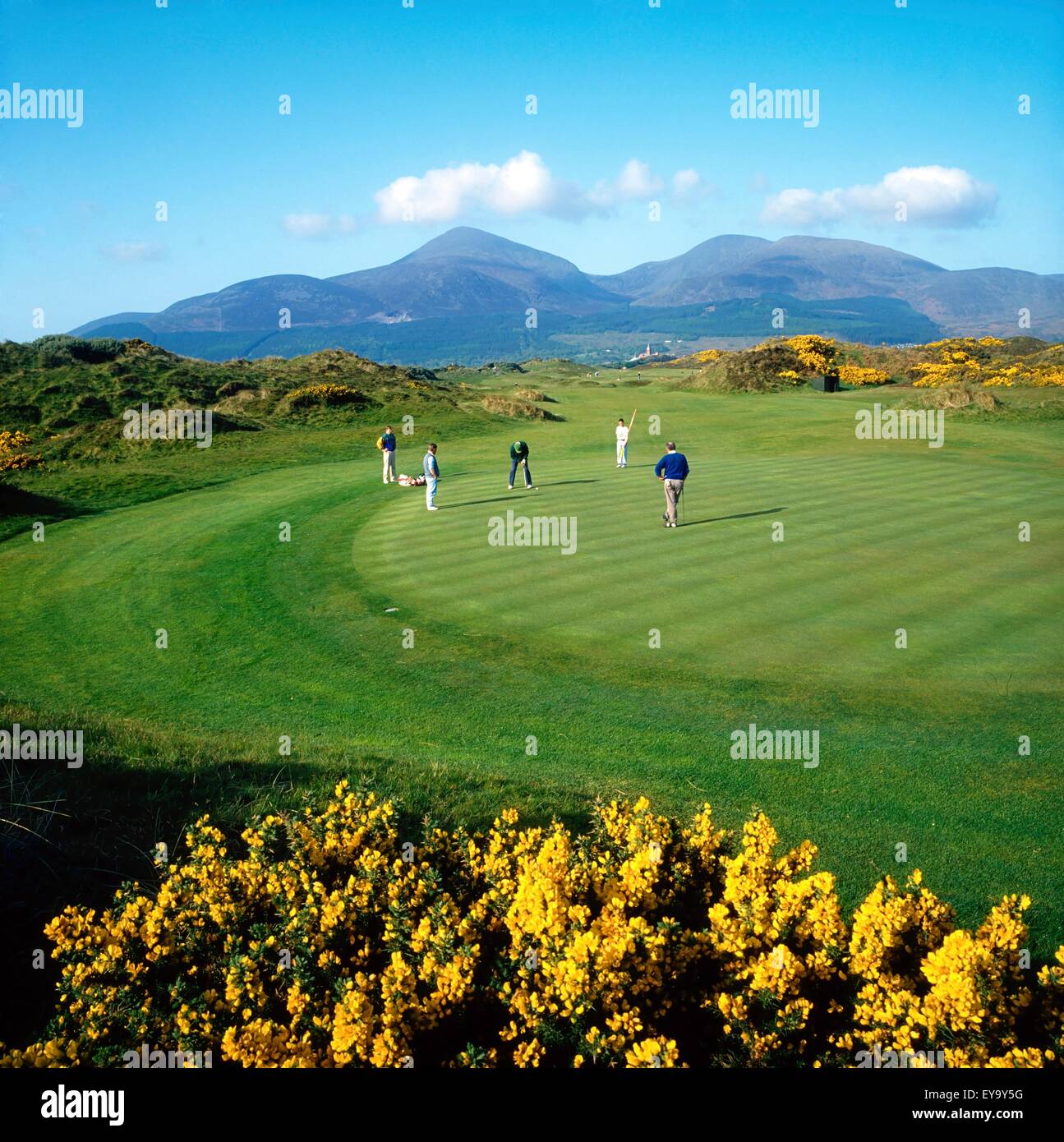 Royal County Down Golf Club, Newcastle, Co Down, Irland Stockfoto
