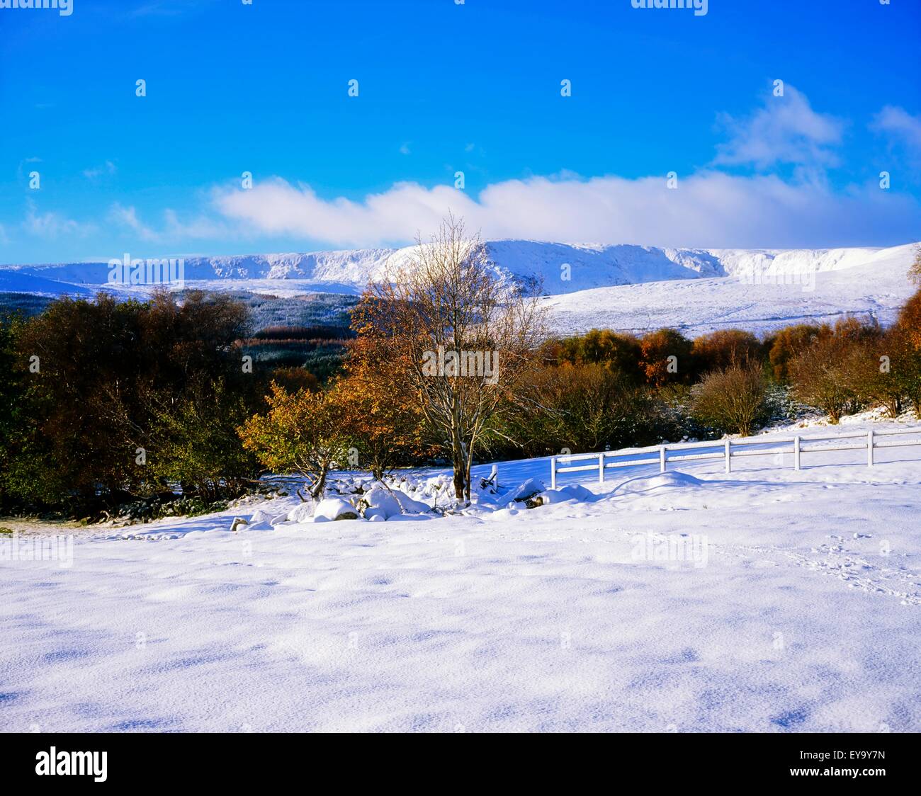 Glencree, Wicklow Mountains, Irland Stockfoto