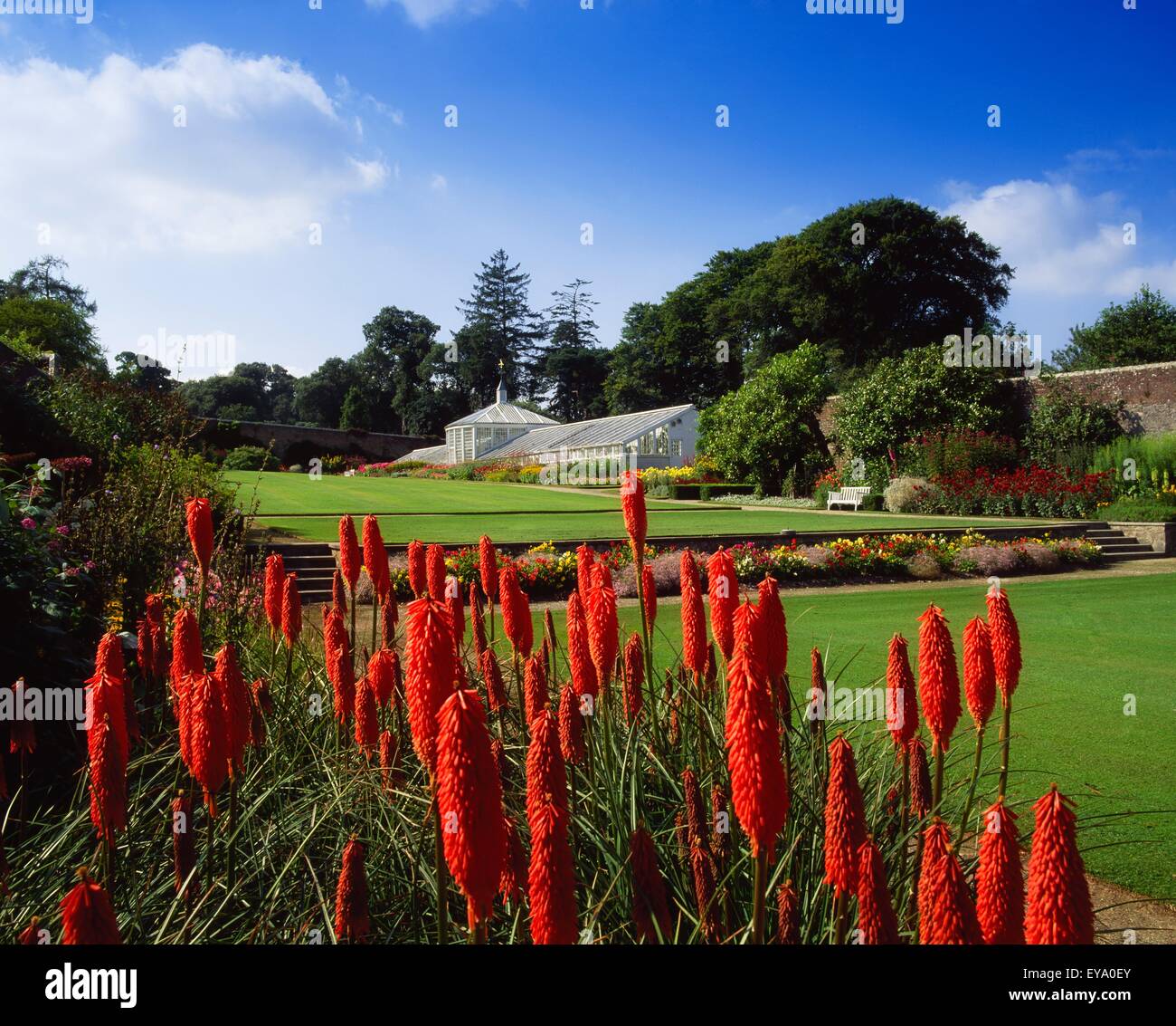 Mount Congreve, Grafschaft Waterford, Irland; Ummauerten Garten und Gewächshaus Stockfoto