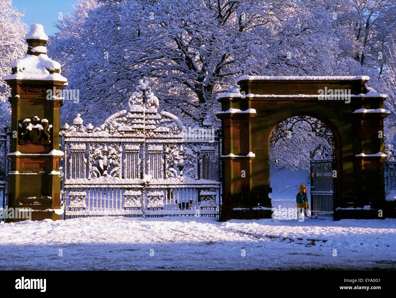 Winter-Szene In Ormeau Park, Belfast, Irland Stockfoto