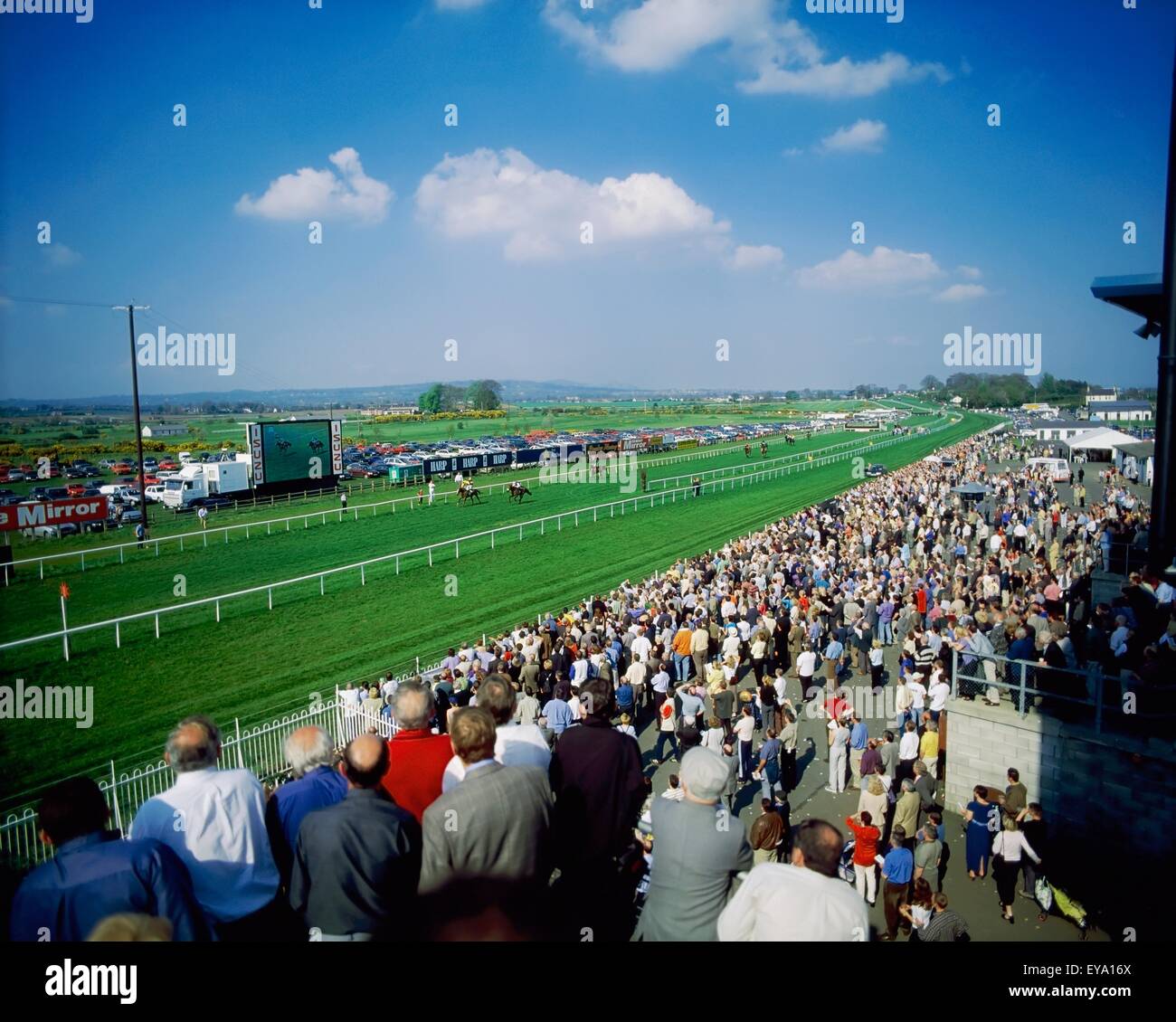 Flachrennen, (das Labyrinth), Down Royal, Co Down, Irland Stockfoto