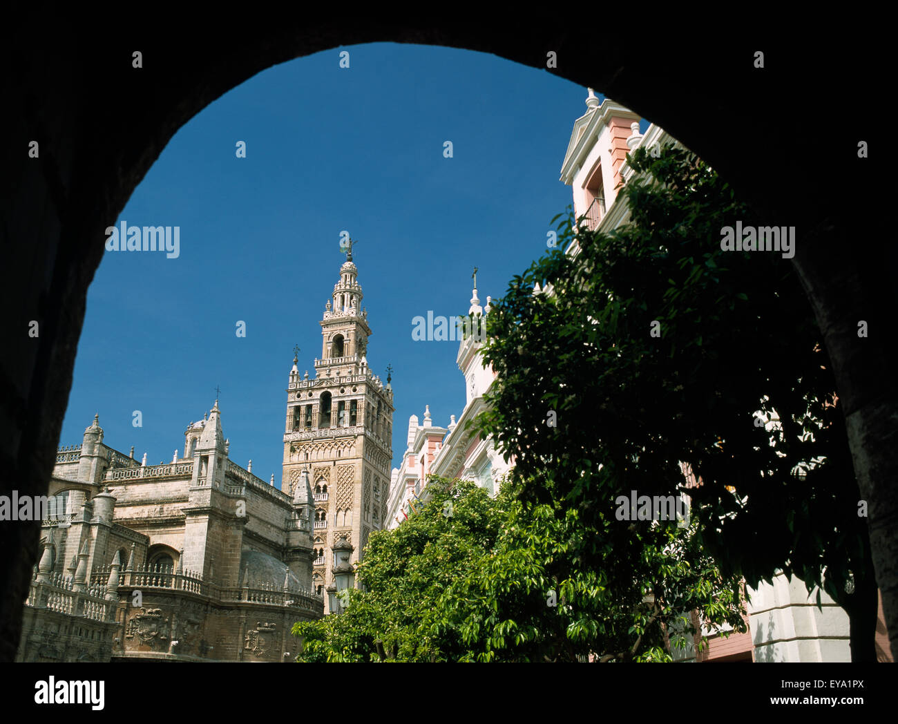 Giralda Turm durch Torbogen, Sevilla, Andalusien, Spanien Stockfoto