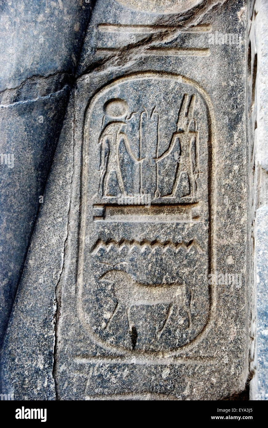 Luxor, Ägypten. Tempel von Luxor (Ipet Resyt): die Kartusche König Merenptah Stockfoto