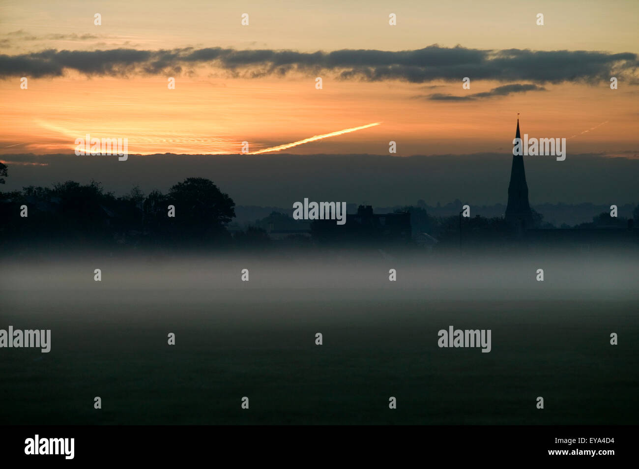 Herbst-frühmorgens am Blackheath Common, Greenwich, London, Uk Stockfoto