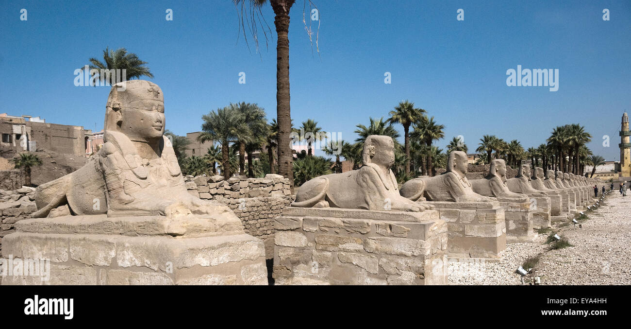 Luxor, Ägypten. Tempel von Luxor (Ipet Resyt): die Allee der Sphinxe von König Nektanebos ich Stockfoto