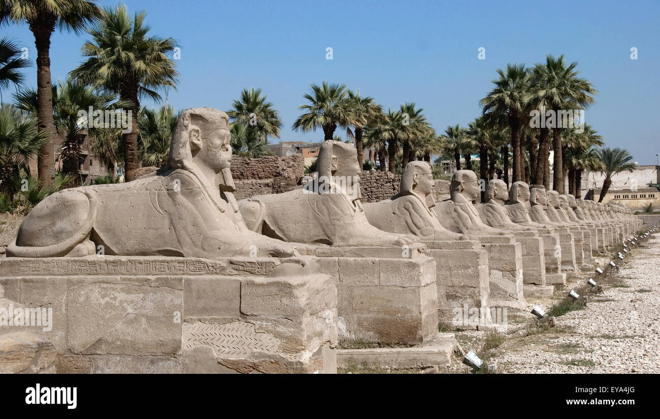 Luxor, Ägypten. Tempel von Luxor (Ipet Resyt): die Allee der Sphinxe von König Nektanebos ich Stockfoto