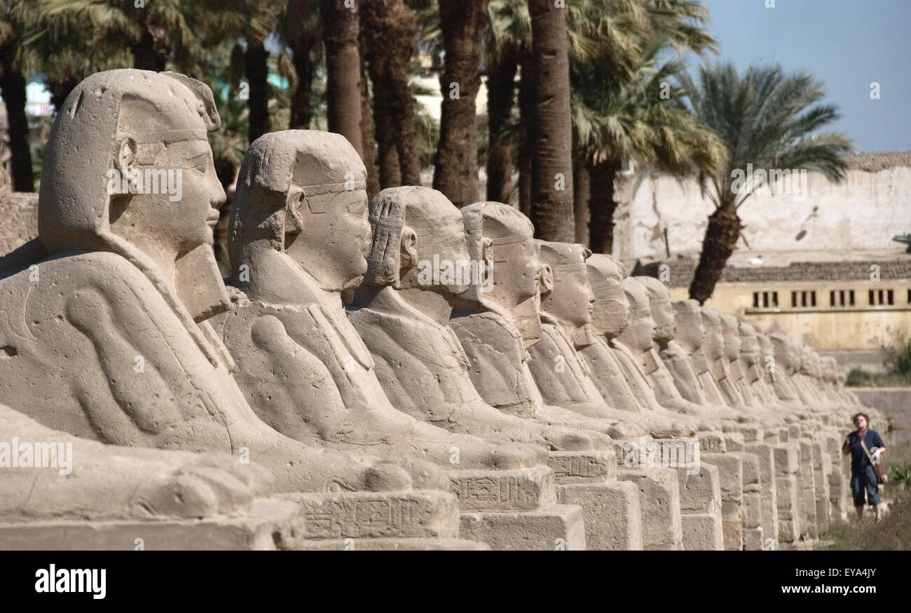 Luxor, Ägypten. Tempel von Luxor (Ipet Resyt): die Allee der Sphinxe von König Nektanebos ich Stockfoto