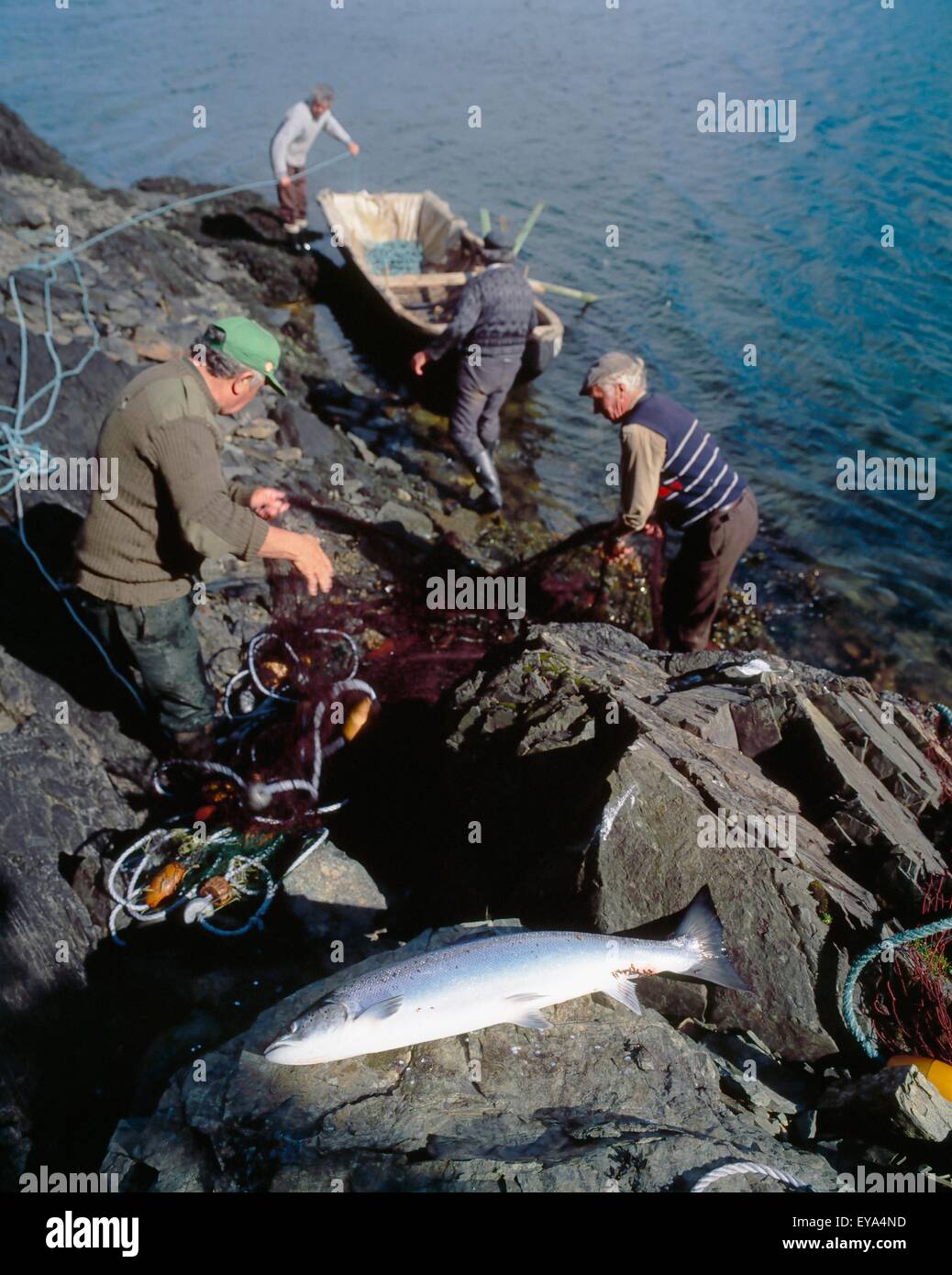 Leenane Dorf, Co. Galway, Irland; Männer Aussortieren ein großes Fischernetz Stockfoto