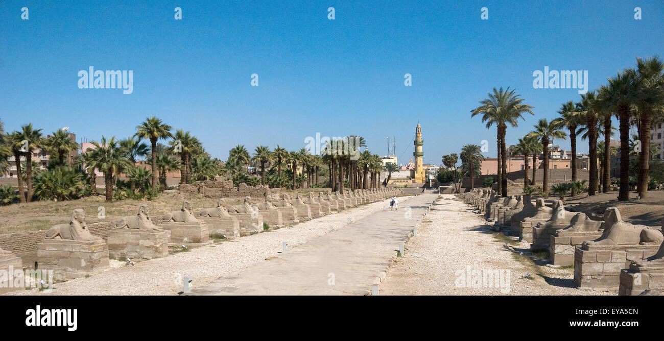 Luxor, Ägypten. Tempel von Luxor (Ipet Resyt): die Allee der Sphinxe von König Nektanebos ich Stockfoto