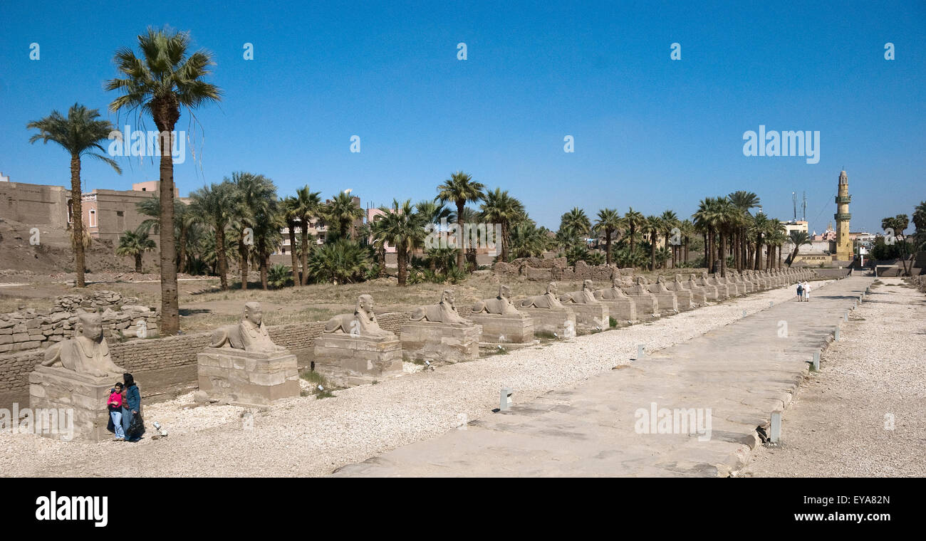 Luxor, Ägypten. Tempel von Luxor (Ipet Resyt): die Allee der Sphinxe von König Nektanebos ich Stockfoto