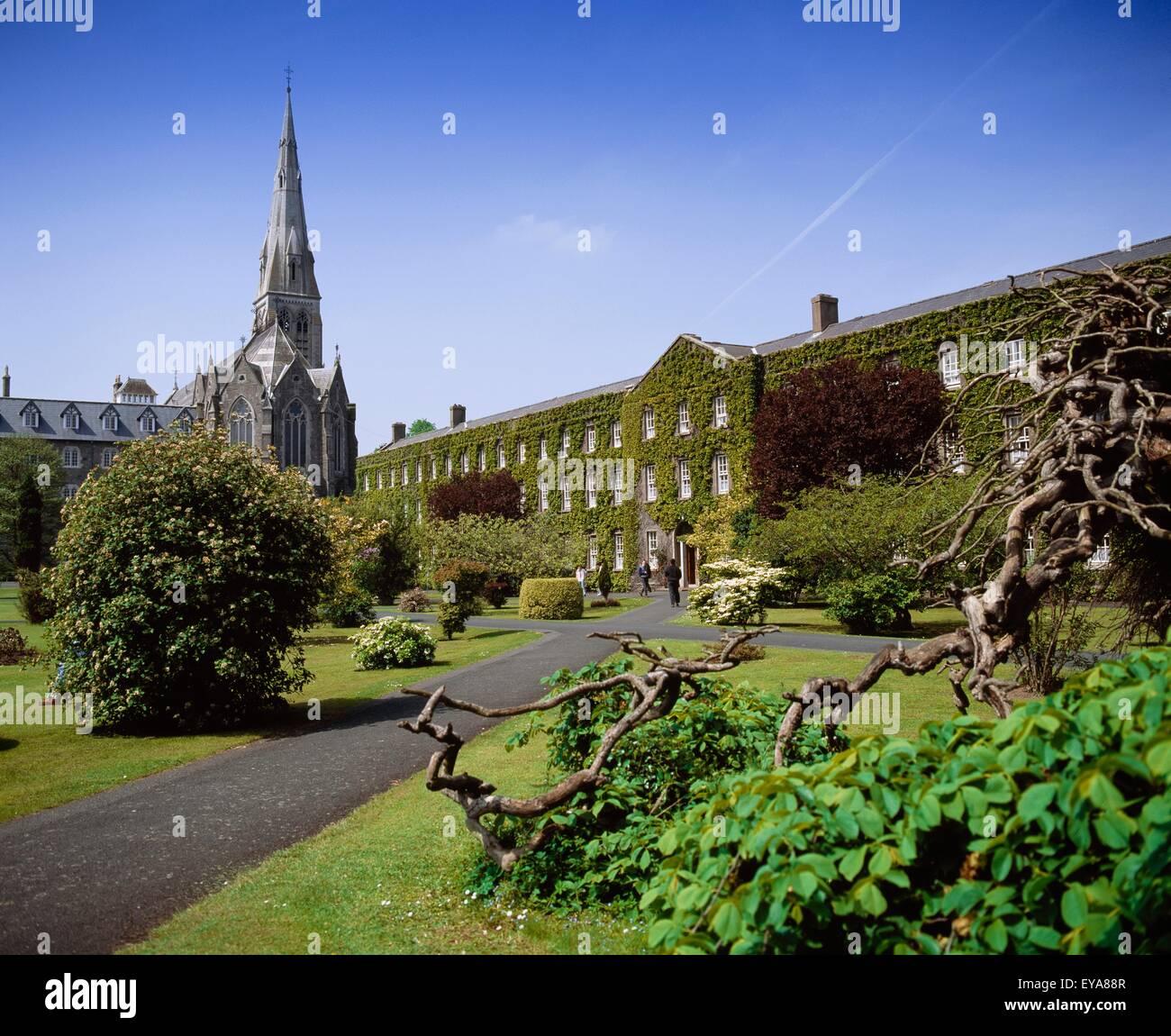 Das neue Haus College Chapel und St.-Josephs Platz, Maynooth College, Co Kildare, Irland; Weg zum Efeu bedeckt Gebäude Stockfoto