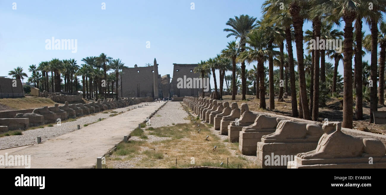 Luxor, Ägypten. Tempel von Luxor (Ipet Resyt): die Sphinxen-Allee Stockfoto