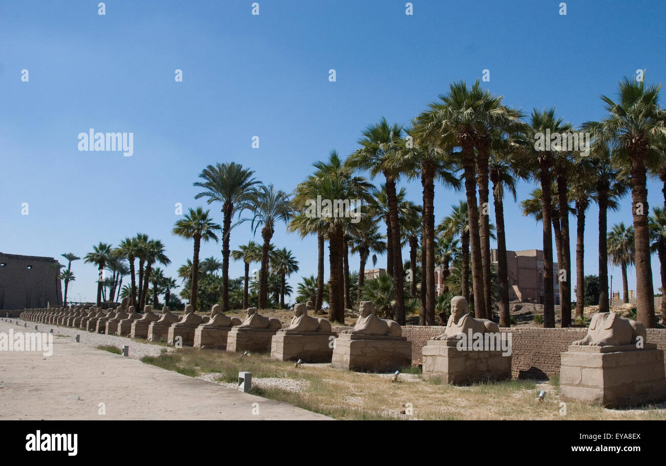 Luxor, Ägypten. Tempel von Luxor (Ipet Resyt): die Allee der Sphinxe von König Nektanebos ich Stockfoto