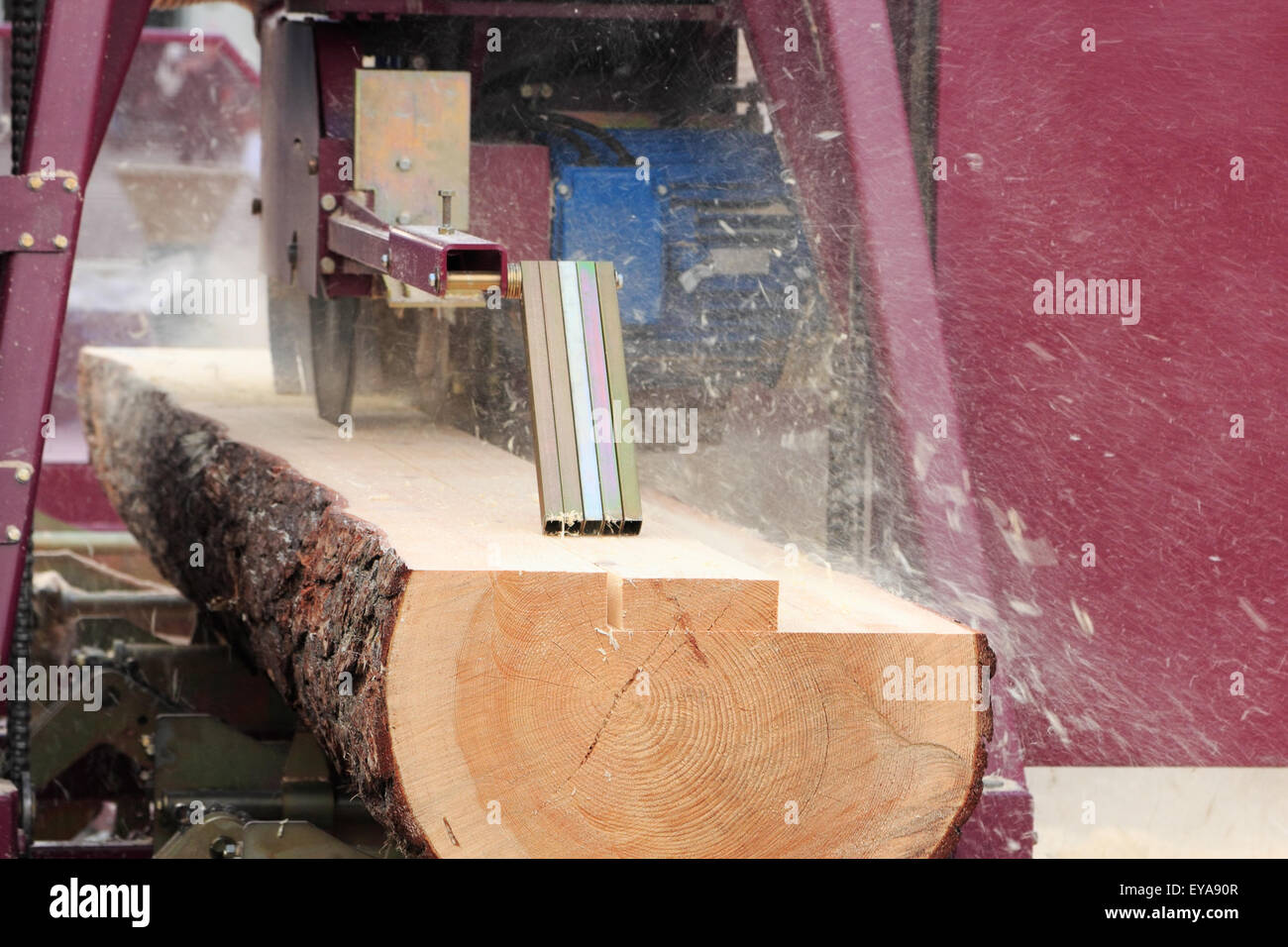 Sägen von Brettern aus Baumstämmen mit modernen Sägewerk. Stockfoto