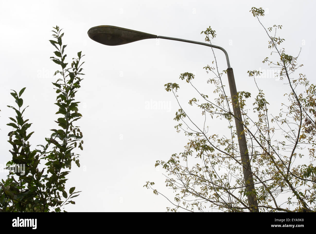 Berlin, Deutschland, Teile der Berliner Mauer (Peitsche Lichter) auf dem Gelände Holz Ufer block Stockfoto