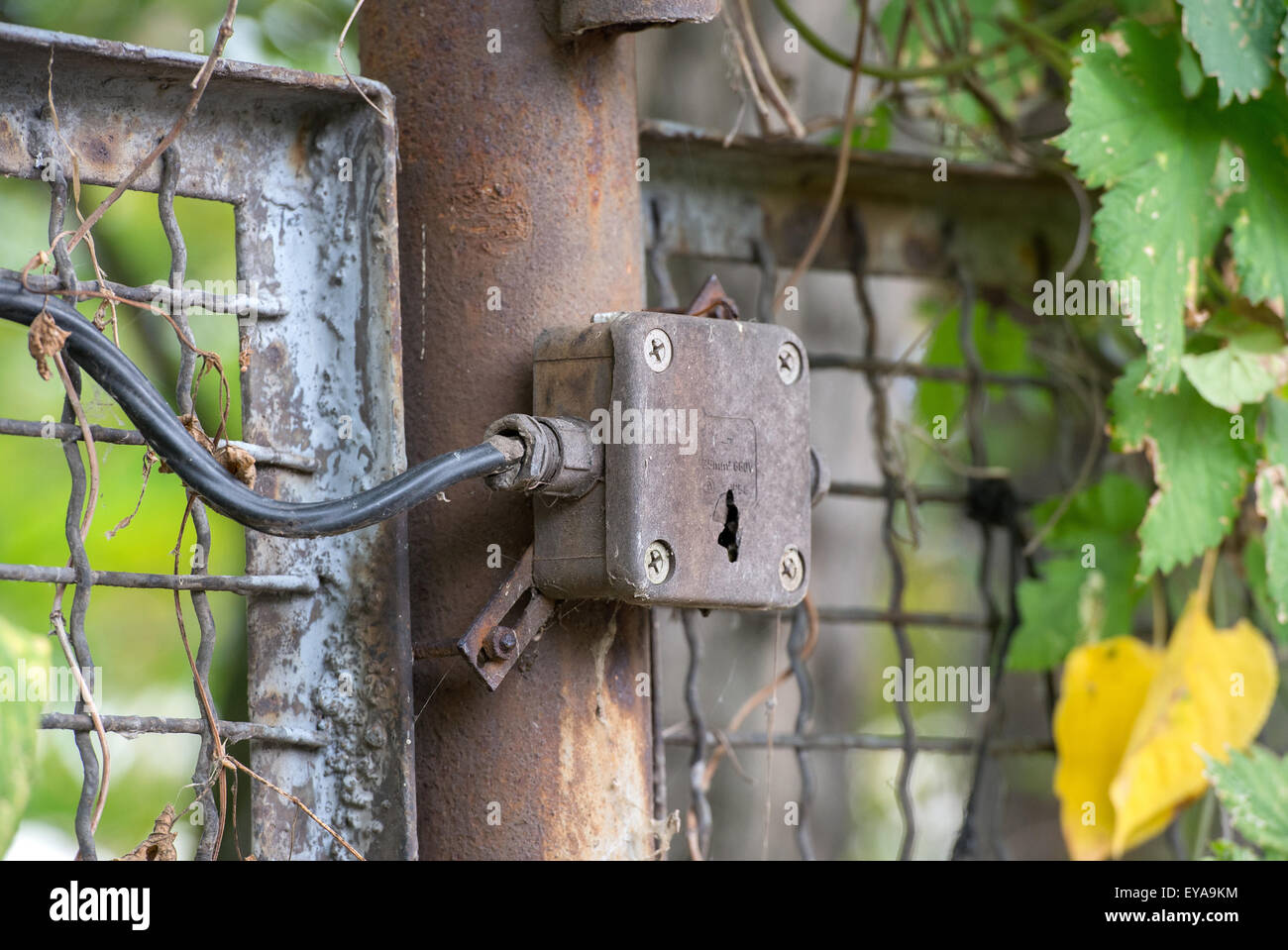 Berlin, Deutschland, erhaltene Teile der Berliner Mauer Stockfoto