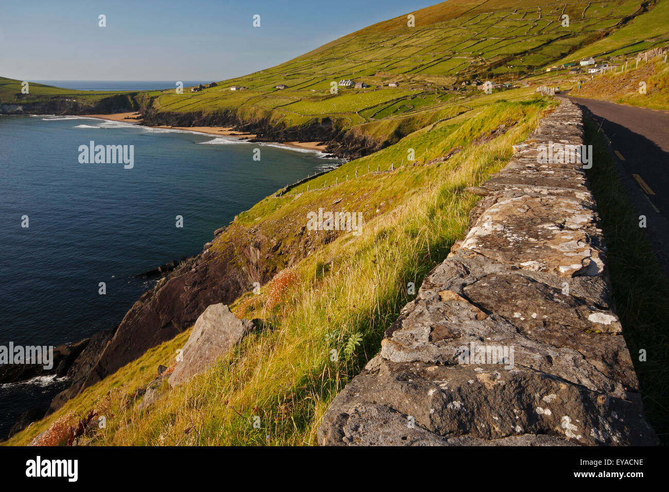 Cliff Road um Slea Head auf der Dingle-Halbinsel; County Kerry, Irland Stockfoto