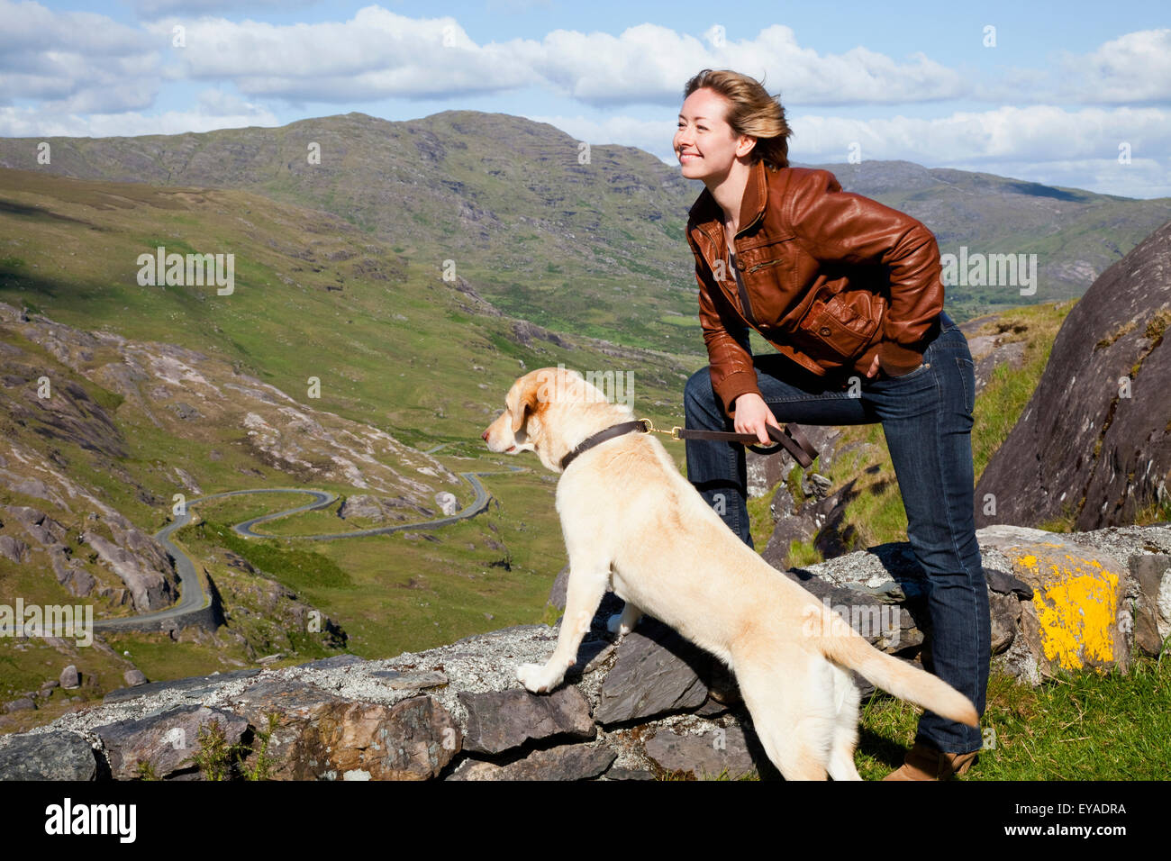Eine Frau und ihr Hund eine Steinmauer in ein Tal blicken; County Kerry, Irland Stockfoto