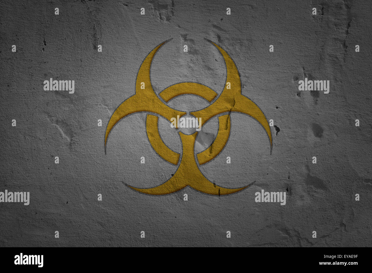 Biohazard-Symbol auf alte schmutzige Betonwand. Stockfoto