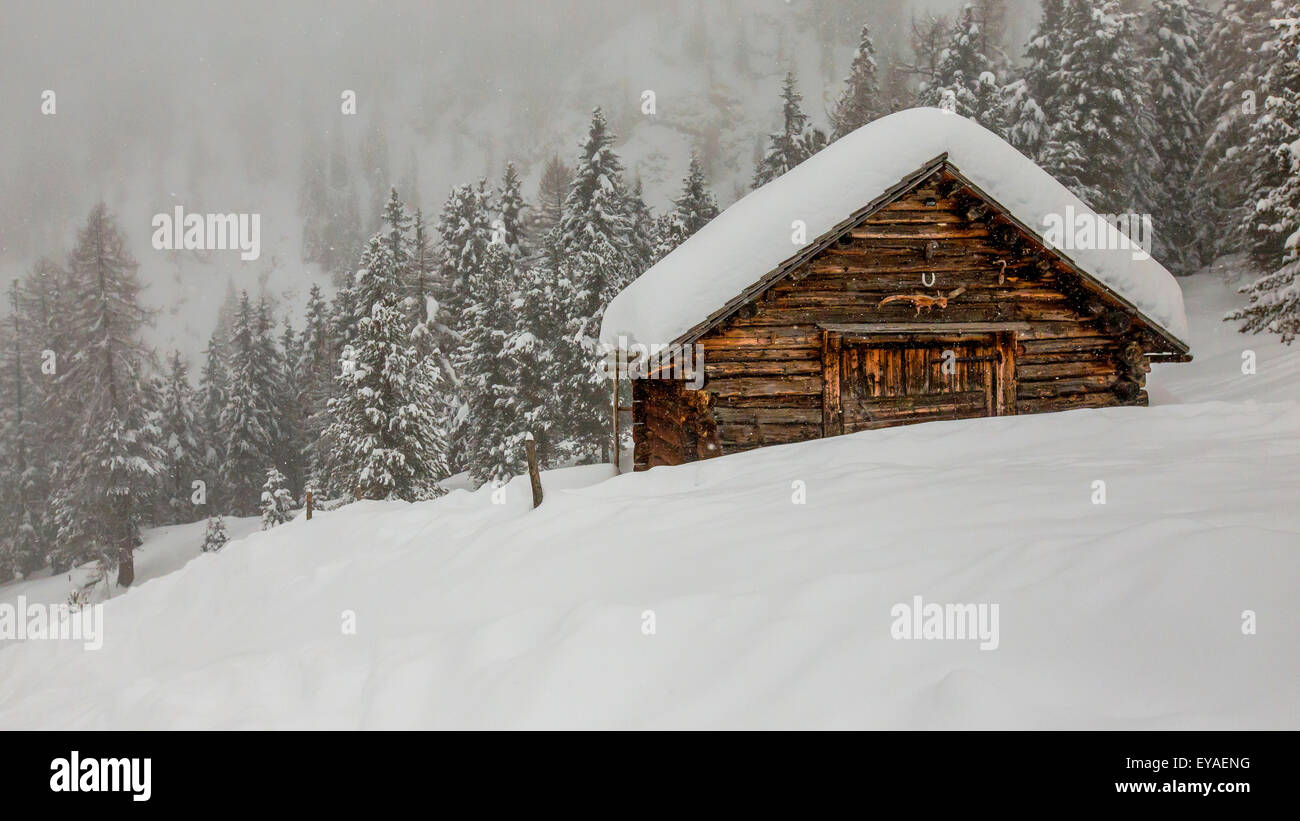 Tiroler Holzchalet im Villental bei Schneefall. Wintersaison. Nadelwald. Die Dolomiten.Trentino-Südtirol. Italienische Alpen. Europa. Stockfoto