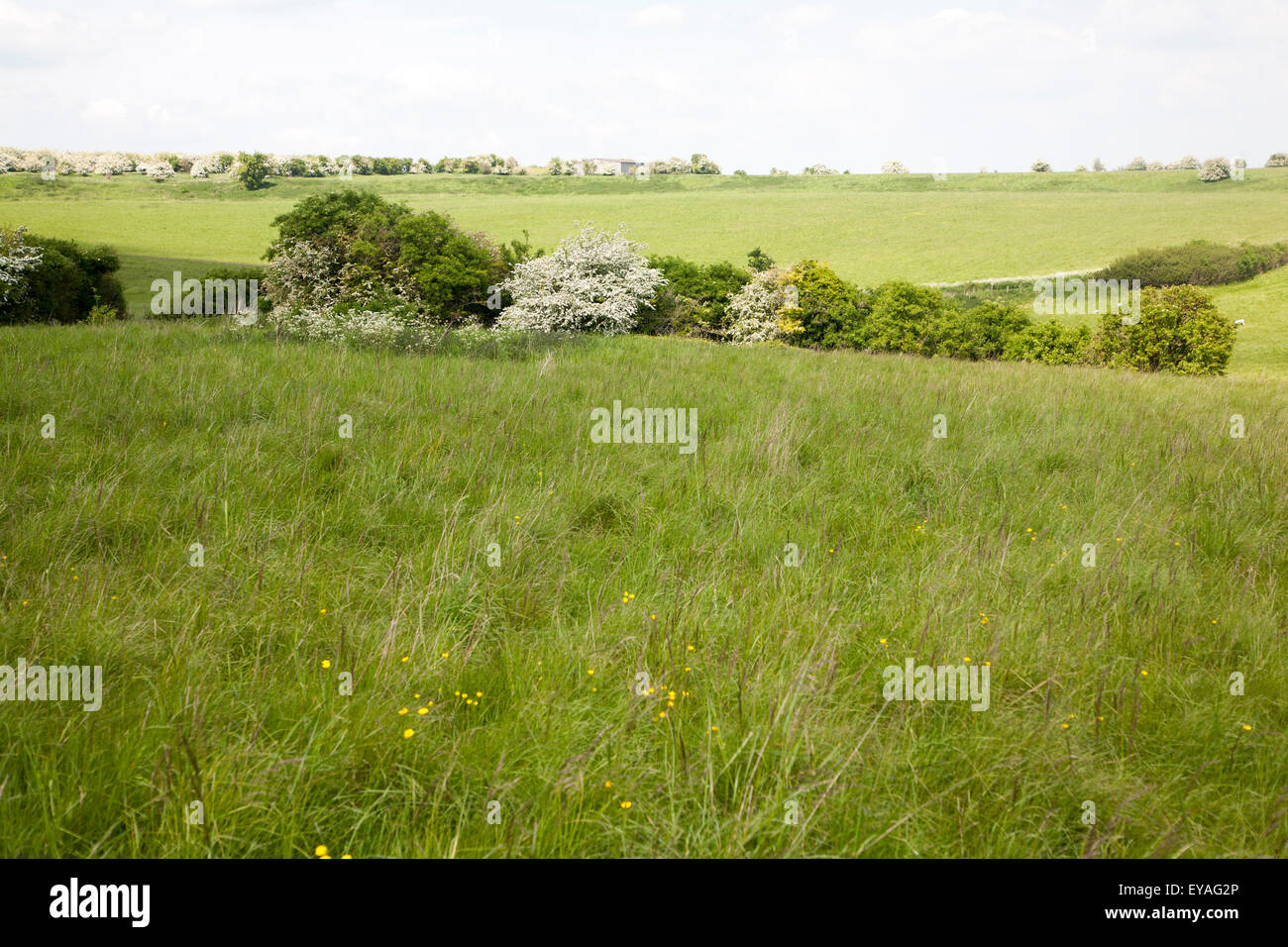 Durrington Wände neolithische Siedlung Website, Amesbury, Wiltshire, England, UK Stockfoto