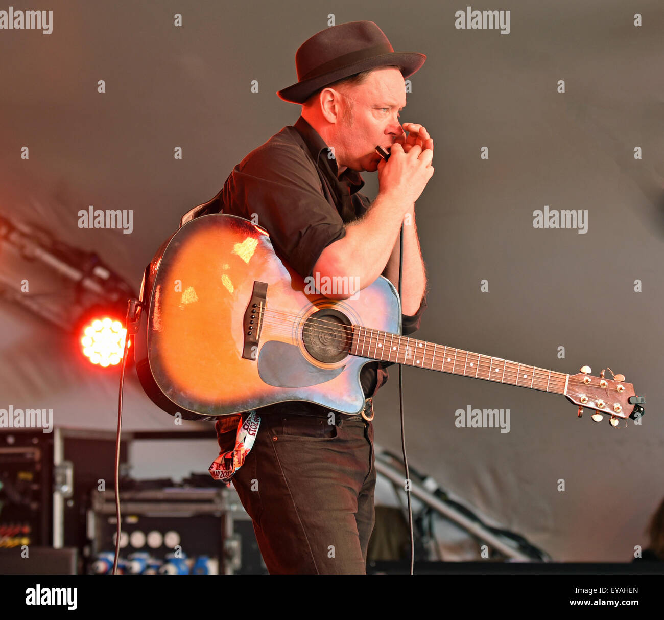 WOMAD Festival, Charlton Park, Wiltshire, UK. 25. Juli 2015.  Bild: Womad Festival Charlton Park Wiltshire: Delaney Davidson aus Neuseeland auf der EcoTricity Stufe Date25/07/2015 Ref: Credit: Charlie Bryan/Alamy Live News Stockfoto