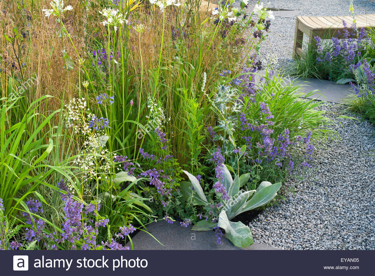 Moderne Garten mit Kiesweg und Gräsern Designer: Catherine Chenery ... Moderne Garten mit Kiesweg und Gräsern Designer: Catherine Chenery ...