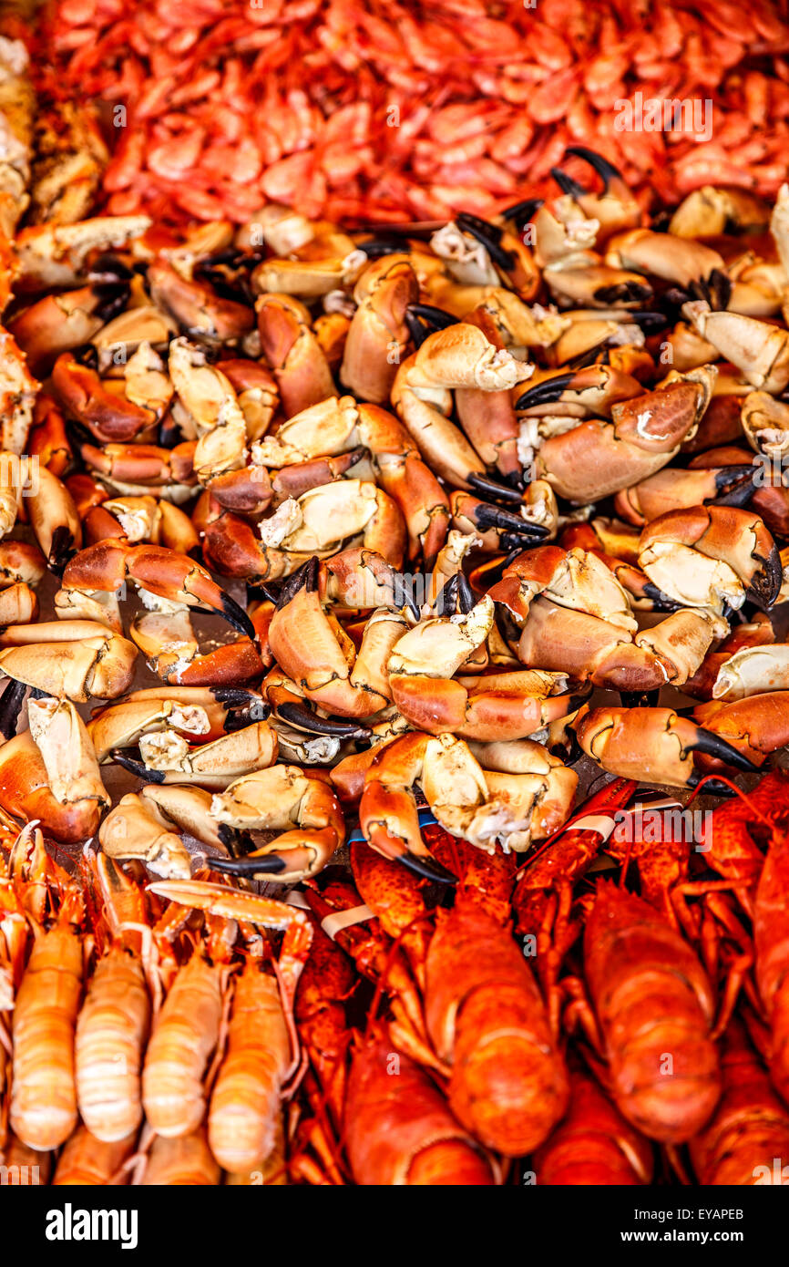 Verschiedene Meeresfrüchte in den Regalen der Fischmarkt in Norwegen, Bergen Stockfoto