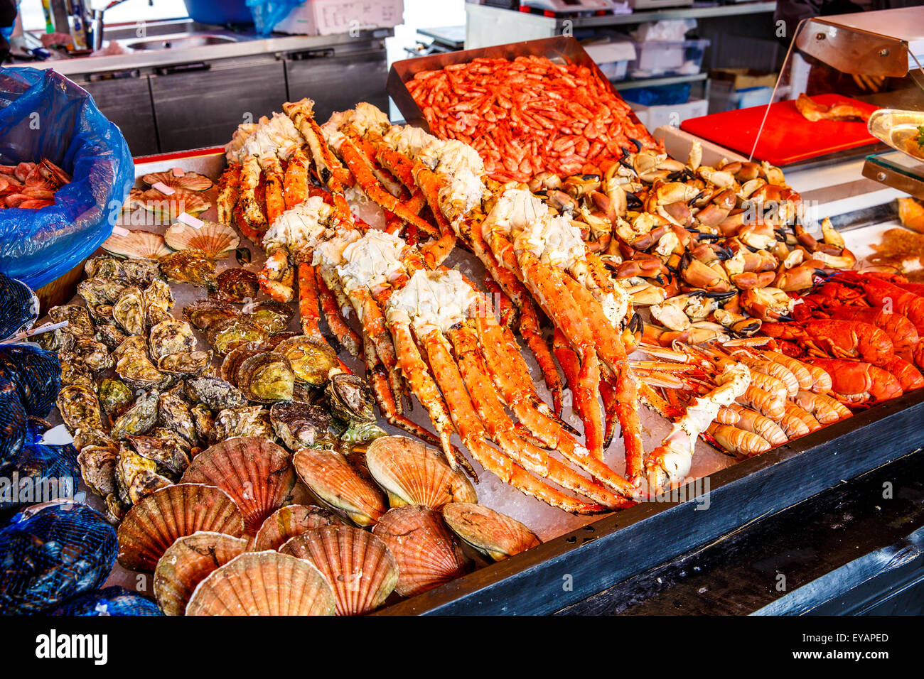 Verschiedene Meeresfrüchte in den Regalen der Fischmarkt in Norwegen, Bergen Stockfoto