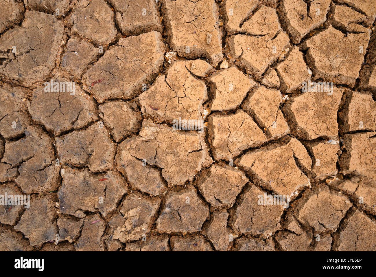 braune Struktur der Polygone der Austrocknung verursacht durch Dürre Stockfoto