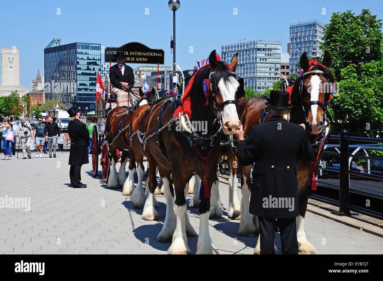 Shire-Pferde und Wagen, die Förderung von Liverpool International Horse Show von Kings Dock, Liverpool, Merseyside, England, UK. Stockfoto