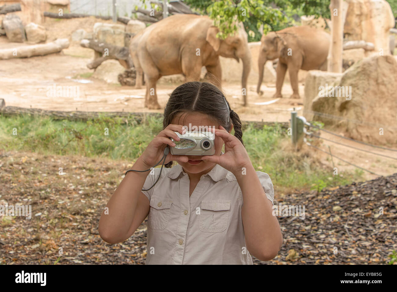 Junge Fotografen, Porträt von kleinen Mädchen fotografieren im Zoo bei den Elefanten. Stockfoto