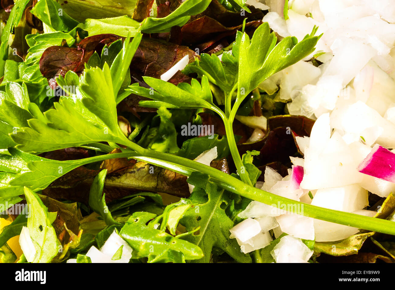 Hintergrund von frisch gehackte Zwiebel, Salat, Gurken, Petersilie, Rucola Stockfoto