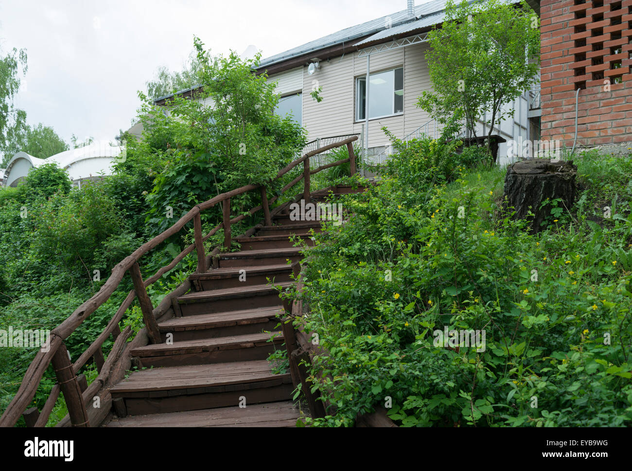 Alte hölzerne gebogene Treppe hinauf durch das Dickicht des grünen Grases Stockfoto