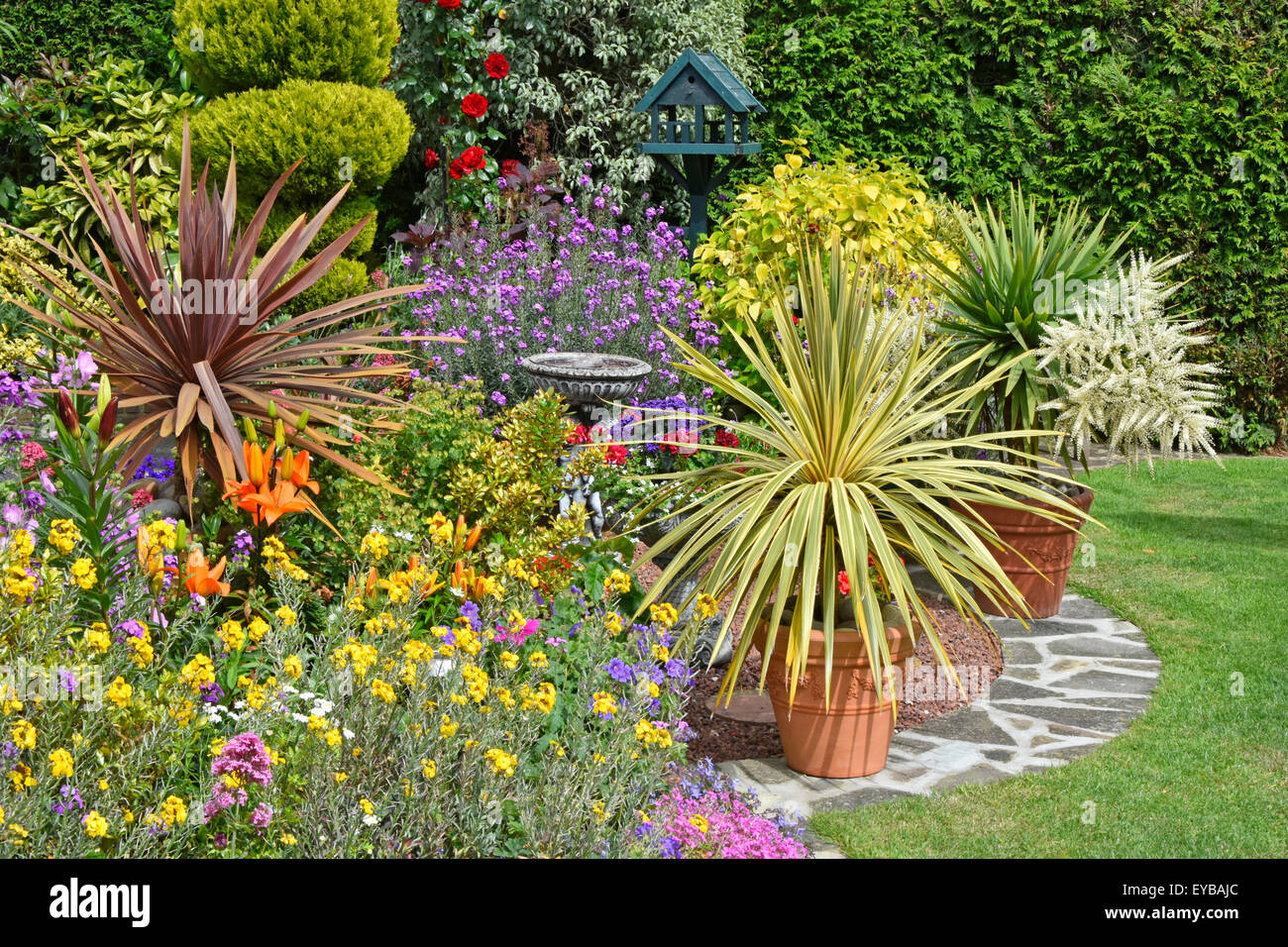 Zurück Garten Design gemischte Pflanzen für Farbeffekt & Topfe Pflanzen für flexible abwechslungsreiche Arrangements mit Nadelbaumhecke Hintergrund Sommer Essex England Großbritannien Stockfoto